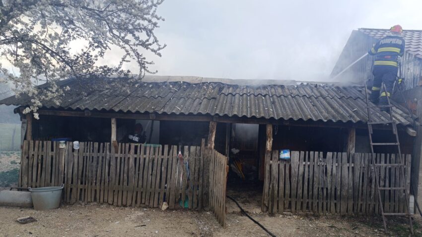 Zeci de intervenții ale pompierilor din Caraș-Severin în doar trei zile: incendii de vegetație, gospodării afectate și accidente rutiere