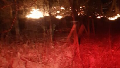 19 situații de urgență gestionate de pompierii cărășeni: incendii de vegetație și intervenții SMURD