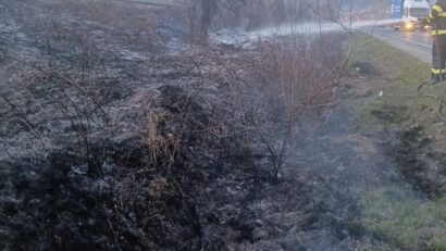 Incendiu într-un bloc din Berzasca și 17 incendii de vegetație: 21 de intervenții ale pompierilor din Caraș-Severin