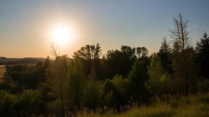 Importanța expunerii la soare și la lumina naturală pentru sănătatea organismului