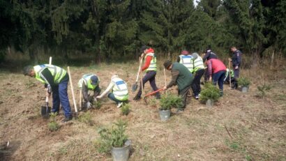 Luna Plantării Arborilor 2026: acțiuni de educație și împădurire în Parcul Național Domogled – Valea Cernei