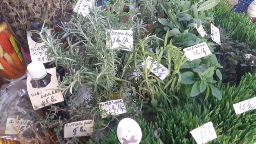 Plante aromatice pentru meniurile de Paște, în piaţă la Reșița – tradiție și gust autentic