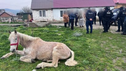 Cal salvat din condiţii improprii la Moldova Nouă