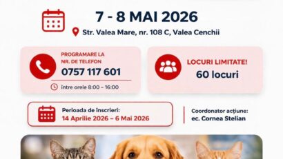 Campanie gratuită de sterilizare câini și pisici la Caransebeș – înscrieri limitate