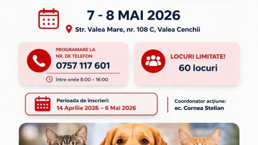 Campanie gratuită de sterilizare câini și pisici la Caransebeș – înscrieri limitate