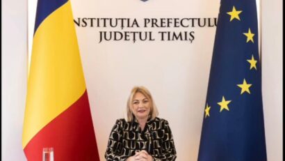 Prefectura Timiș: verificări extinse și sprijin pentru serviciile sociale din județ