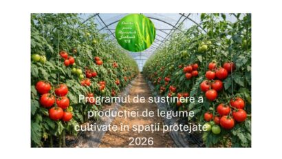Caraş-Severin: Programul Tomata, sesiunea 2026, s-a încheiat. Fermierii spun că sprijinul este util, dar insuficient