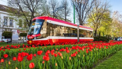 ARAD: Transport public cu 1 leu pe zi, în contextul scumpirii carburanților