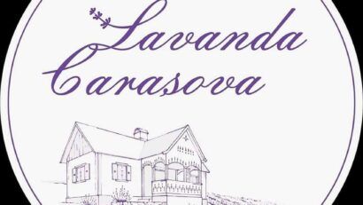 Lavanda Carașova își deschide porțile pentru vizitatori. Program, experiențe și ce poți face zilnic în câmpul mov din Caraș-Severin