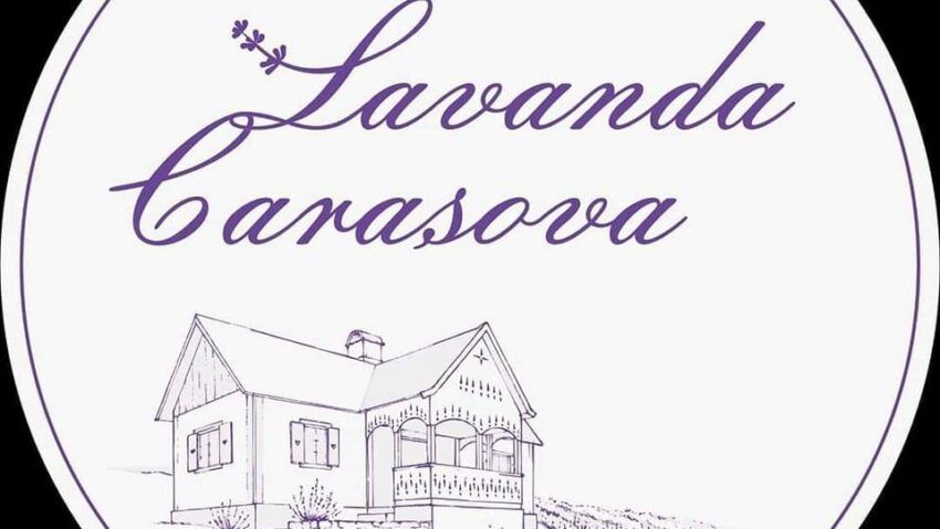 Lavanda Carașova își deschide porțile pentru vizitatori. Program, experiențe și ce poți face zilnic în câmpul mov din Caraș-Severin