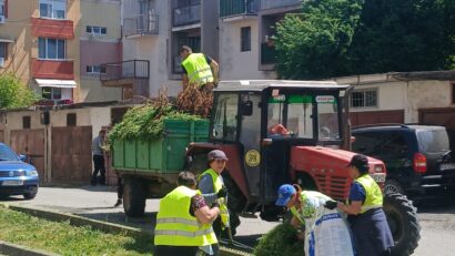 Lucrări în mai multe zone din Caransebeș: spații verzi întreținute, intervenții la ștrand și pregătiri pentru platforma online de sesizări