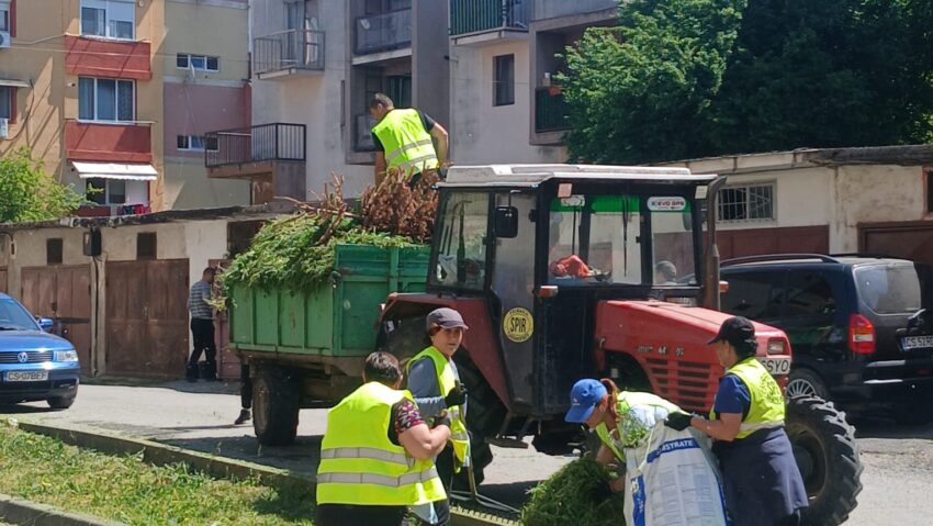 Lucrări în mai multe zone din Caransebeș: spații verzi întreținute, intervenții la ștrand și pregătiri pentru platforma online de sesizări