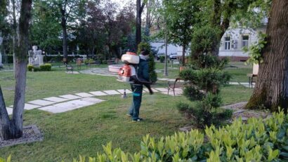 Dezinsecție în Arad: Primăria ia măsuri împotriva țânțarilor și căpușelor