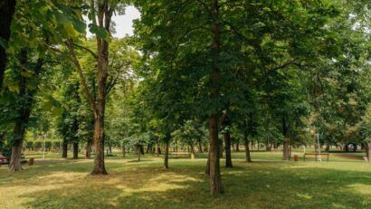 Trei parcuri noi în Timișoara: iazuri artificiale, zone de fitness, locuri de joacă și spații de recreere în Kuncz, Blașcovici și Dâmbovița
