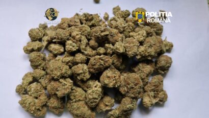 Caraș-Severin: Peste 40 de percheziții într-un dosar uriaș de trafic de droguri și substanțe psihoactive. Minori folosiți în rețeaua de distribuție