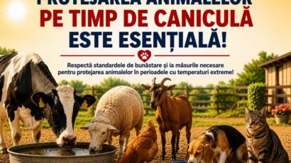 Fermierii din Caraș-Severin, avertizați să evite arderea resturilor vegetale în timpul caniculei şi să protejeze animalele