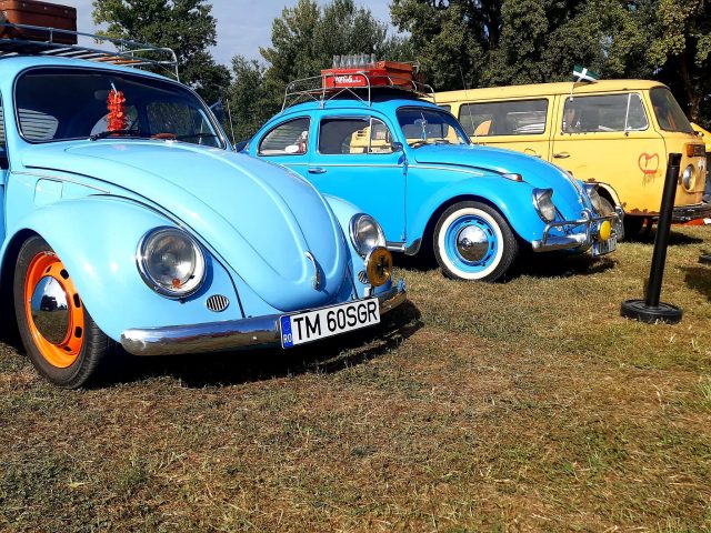 „Întâlnirea Broscuțelor din Banat” revine la Poiana Mărului. Pasionații de Volkswagen old-timer se reunesc în acest weekend