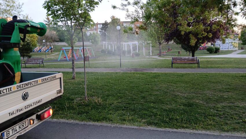 Dezinsecție de amploare în Arad. Primăria începe în această seară tratamente împotriva țânțarilor și căpușelor