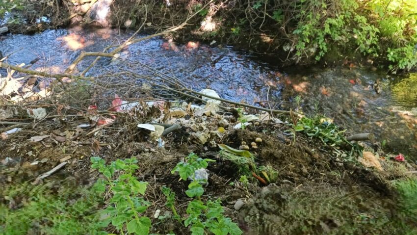 Amendă de 40.000 de lei pentru comuna Domașnea pentru nerespectarea măsurilor de protecție a mediului