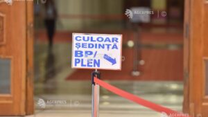 Ședința conducerii Parlamentului pentru învestirea Guvernului Veștea, suspendată după o dispută privind sigla PNL