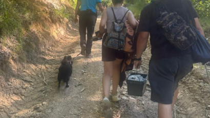 Doi turiști speriați de un urs pe un traseu din Caraș-Severin, ajutați de jandarmii montani