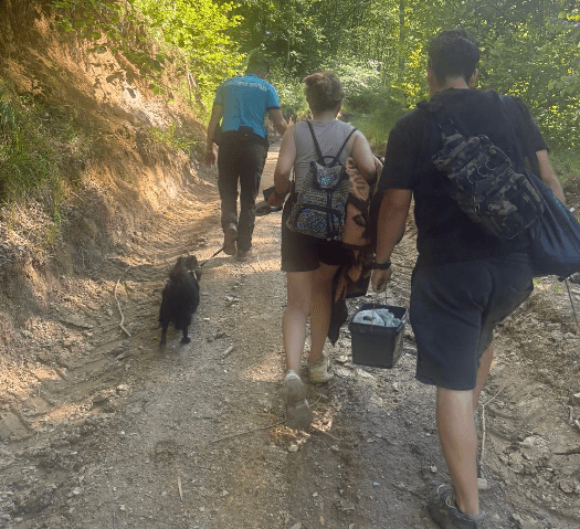 Doi turiști speriați de un urs pe un traseu din Caraș-Severin, ajutați de jandarmii montani