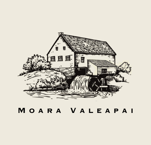Moara de la Valeapai va fi salvată. Acasă în Banat pregătește transformarea clădirii istorice într-un muzeu al morăritului