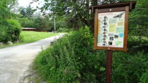 Taxa de vizitare a Parcului Național Semenic – Cheile Carașului este de 10 lei pe zi. Administraţia explică de ce este necesară achitarea ei