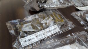 România expulzează un membru al ambasadei Rusiei după incursiunile dronelor rusești