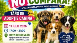 Târg de adopție canină la Arad. Zeci de căței își caută o familie la Open Boulevard