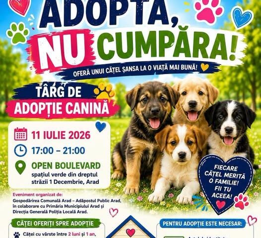 Târg de adopție canină la Arad. Zeci de căței își caută o familie la Open Boulevard