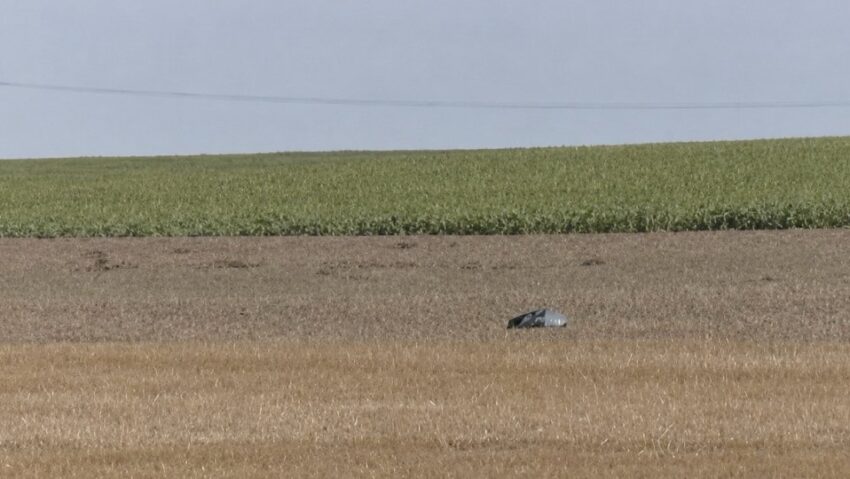 Clarificările MApN după doborârea dronei în România: decizia de angajare a țintei a fost luată de comandamentul NATO