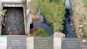 Ape uzate deversate în Timiș: Primăria Victor Vlad Delamarina, sancționată