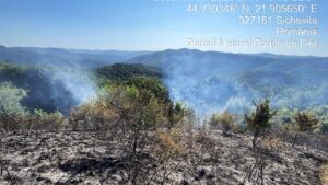 Incendii de vegetație în Parcul Natural Porțile de Fier: intervin şi două elicoptere Black Hawk