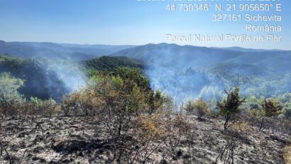 Incendii de vegetație în Parcul Natural Porțile de Fier