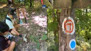 Potecile Reșiței, pregătite pentru bicicliști. Bike Attack continuă întreținerea și marcarea traseelor MTB