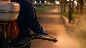 Moldova Nouă, invadată de țânțari în perioada de caniculă. Primăria caută soluții