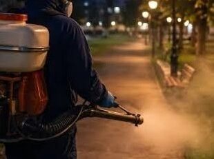 Moldova Nouă, invadată de țânțari în perioada de caniculă. Primăria caută soluții