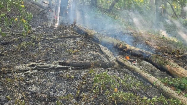 Incendiul de vegetație de la Sichevița a fost lichidat după trei zile de intervenții
