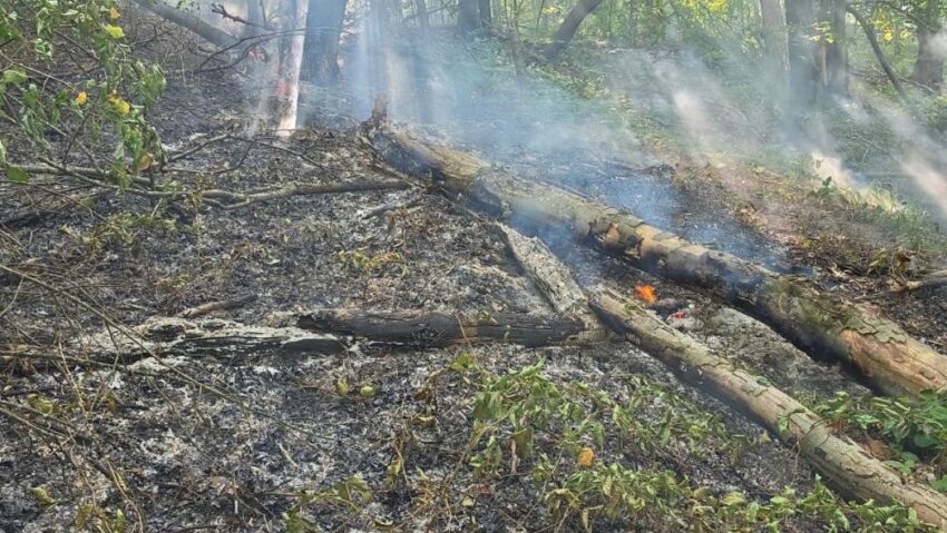 Incendiul de vegetație de la Sichevița a fost lichidat după trei zile de intervenții