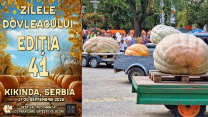 Zilele Dovleacului Kikinda 2026: Dragana Mirković și Goca Tržan, în concert la Dani Ludaje. Festivalul are loc între 17 și 20 septembrie