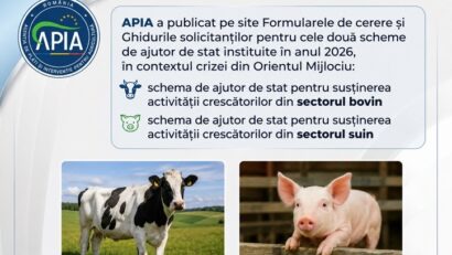 APIA Caraș-Severin: ghidurile pentru ajutoarele de stat acordate crescătorilor de bovine și suine sunt disponibile pe site-ul agenţiei judeţene
