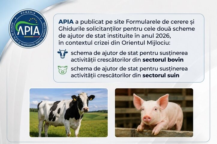 APIA Caraș-Severin: ghidurile pentru ajutoarele de stat acordate crescătorilor de bovine și suine sunt disponibile pe site-ul agenţiei judeţene