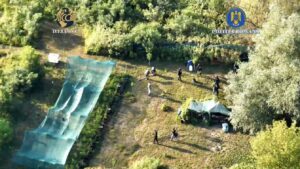 101 plante de canabis, cu o greutate de aproximativ 65 de kilograme, descoperite în Lipova