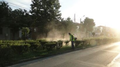Dezinsecție stradală în Caransebeș, în noaptea de 28 spre 29 august. Recomandări pentru locuitori