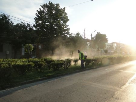 Dezinsecție stradală în Caransebeș, în noaptea de 28 spre 29 august. Recomandări pentru locuitori