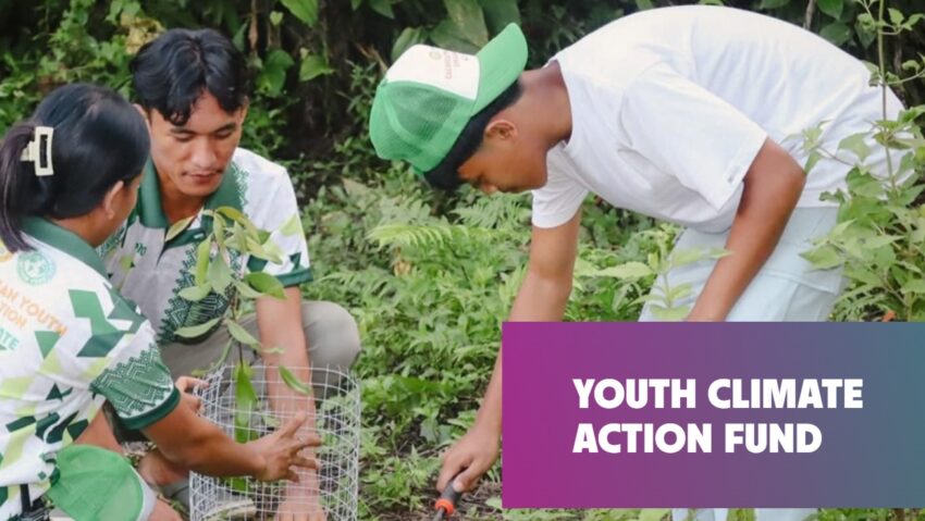 Timișoara, selectată în Youth Climate Action Fund