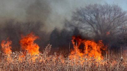 Incendii de vegetaţie în Serbia: un mort şi mii de hectare afectate