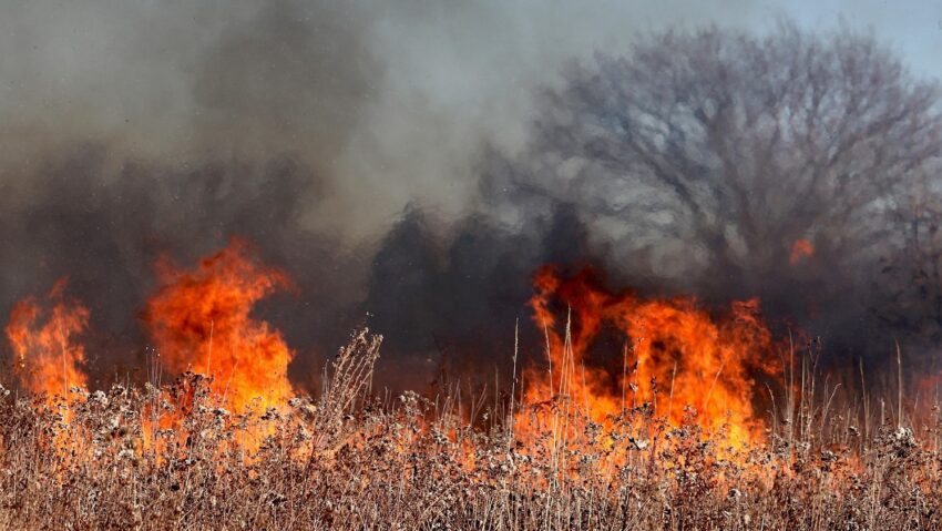 Incendii de vegetaţie în Serbia: un mort şi mii de hectare afectate