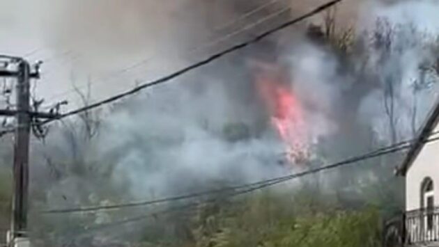Incendiul de vegetație din zona Câlnic s-a reaprins. Pompierii intervin cu forțe suplimentare și un elicopter